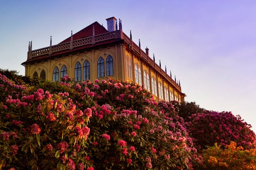 Romantické Víkendové Pobyty v České Přírodě: Průvodce a Tipy